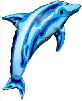 Delfin Blau02